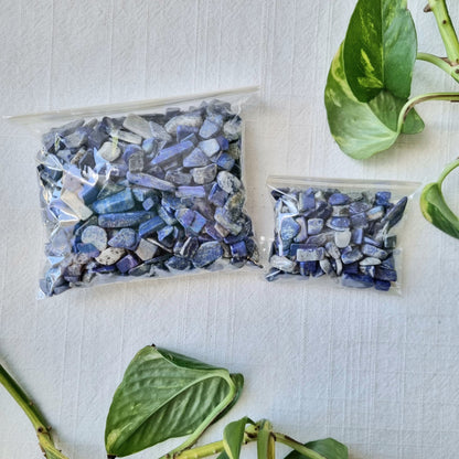 Lapis Lazuli Chips - Sparrow and Fox