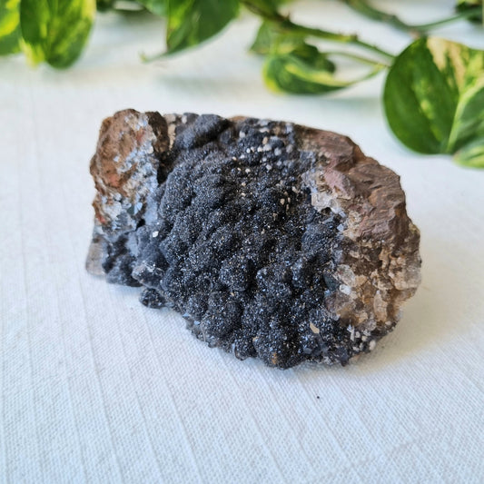 Manganese Specimen - Morocco - 266.00g - Sparrow and Fox