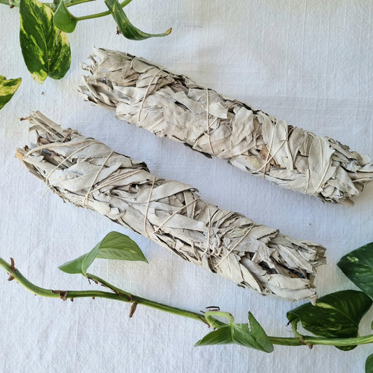 White Sage Bundle - Large - Sparrow and Fox