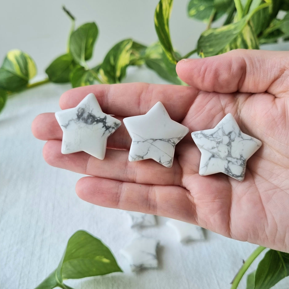 Howlite – Sparrow and Fox