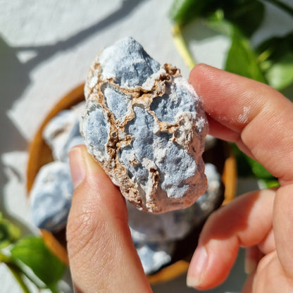 Angelite Raw - Sparrow and Fox