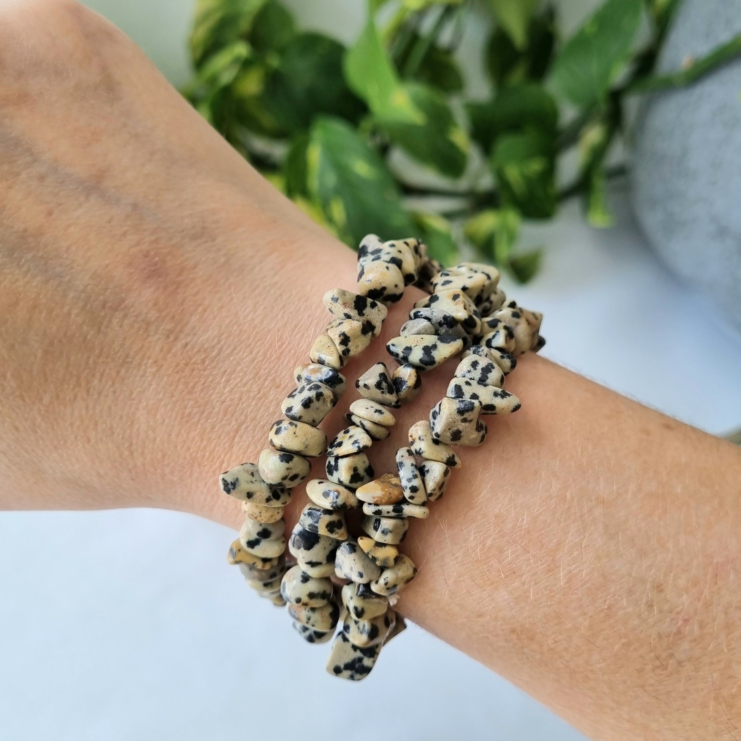 Dalmatian cheap jasper bracelet