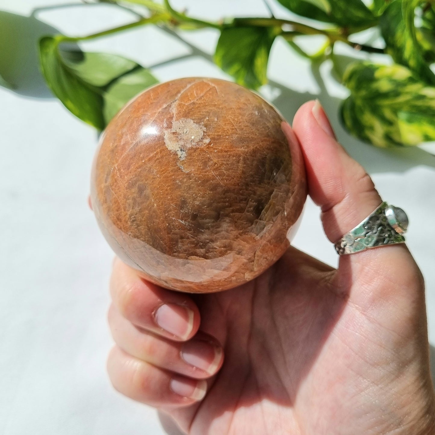 Peach Moonstone Sphere - 391g - A Grade - Sparrow and Fox