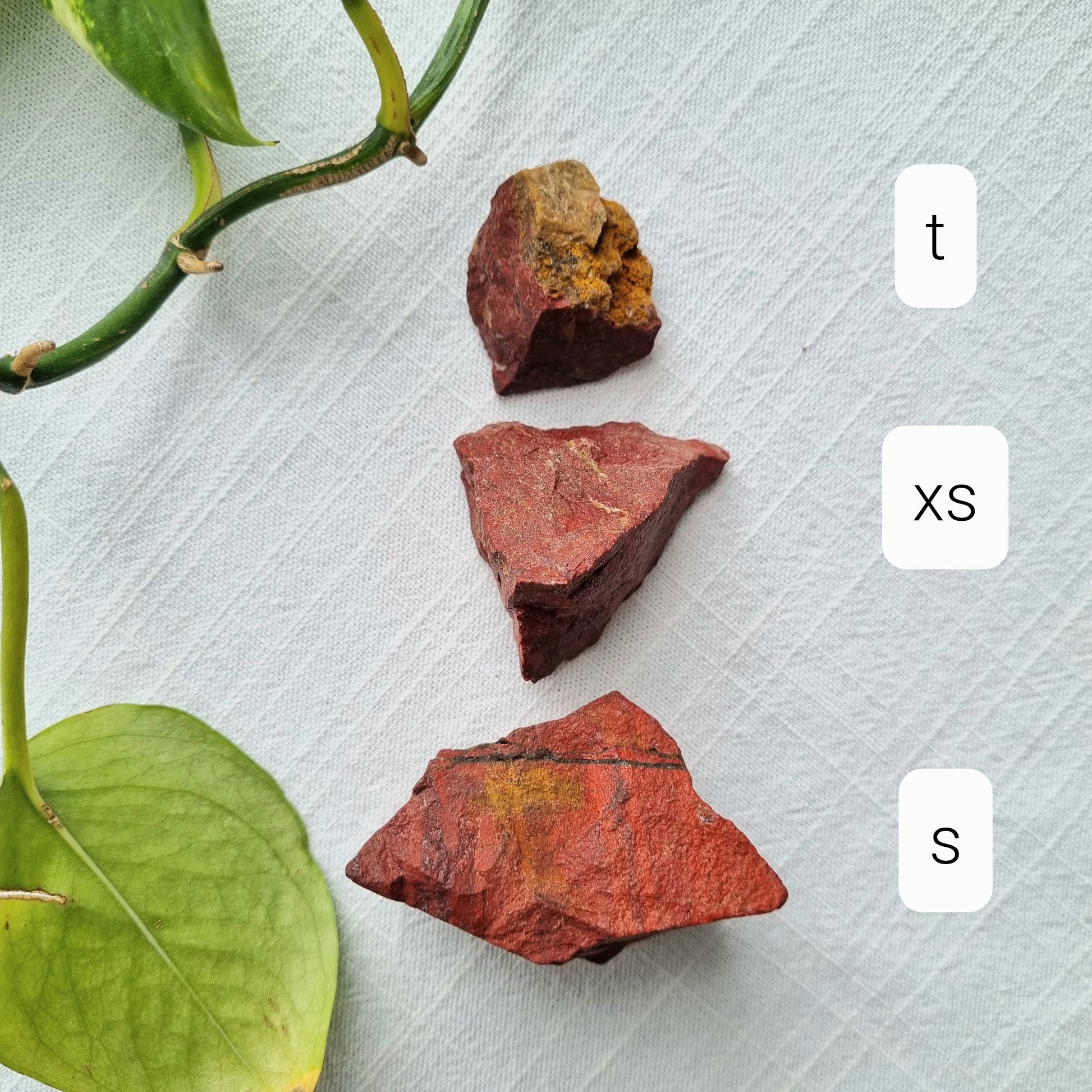 Red Jasper Raw - India - Sparrow and Fox