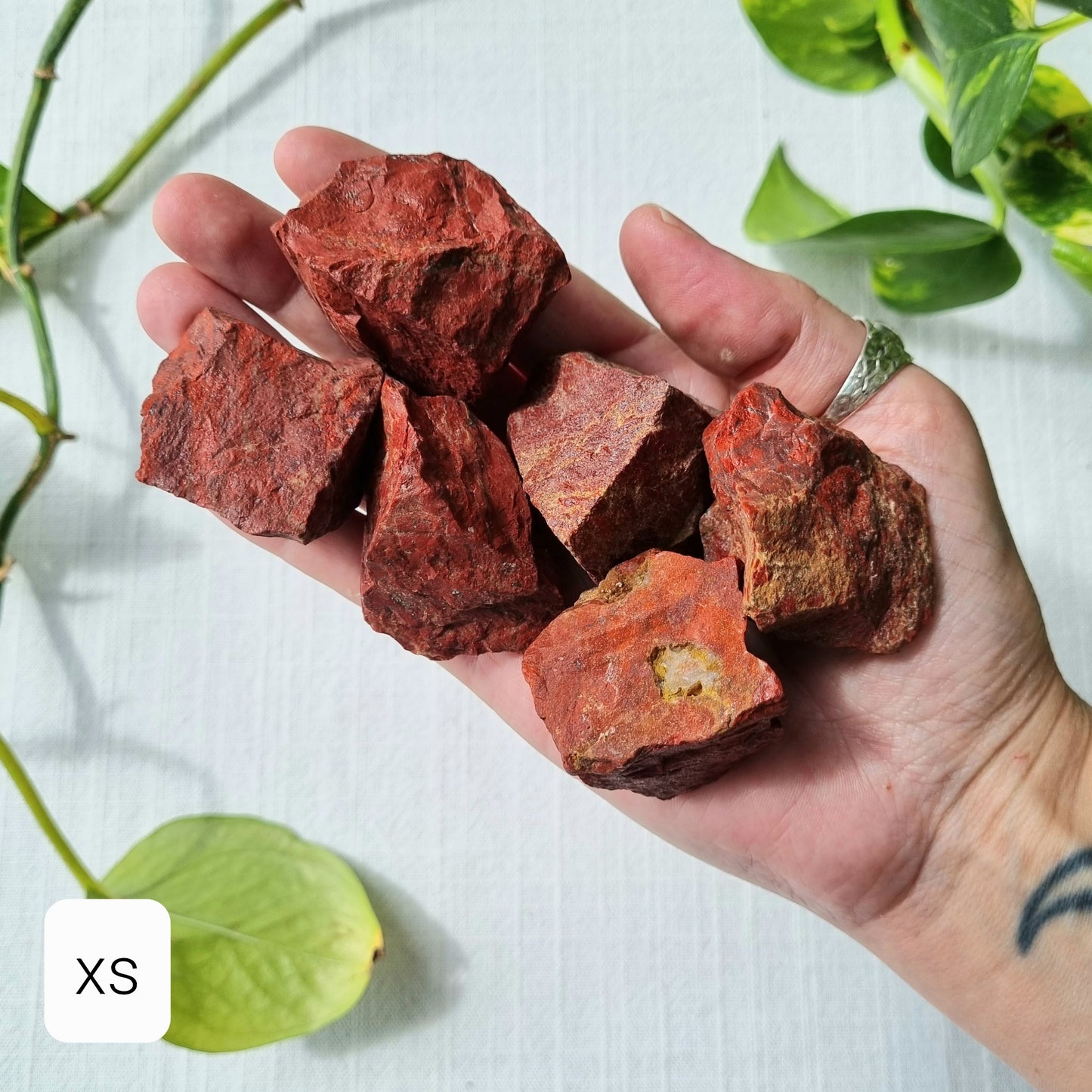 Red Jasper Raw - India - Sparrow and Fox