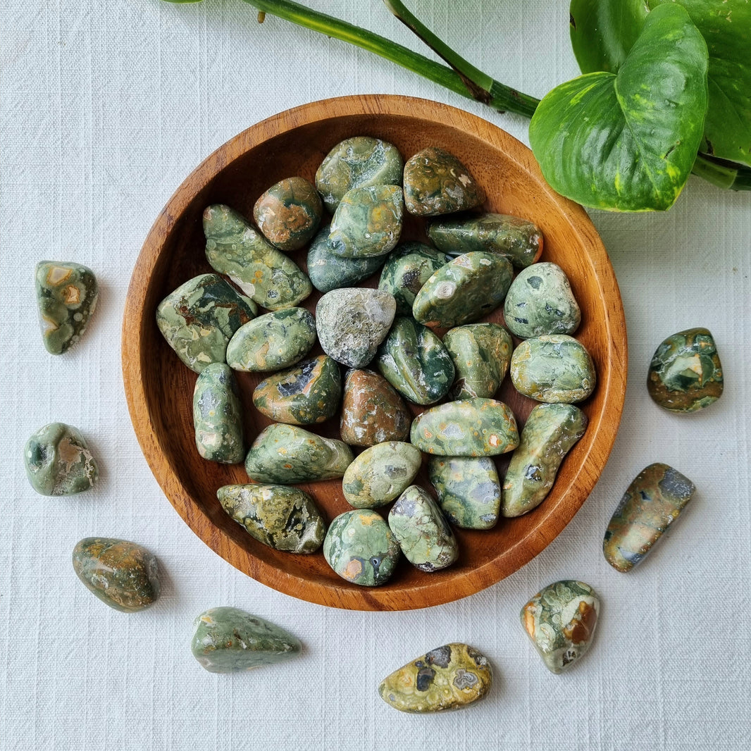 Pyroclastic Rhyolite Green Rainforest Jasper (Green Rhyolite) – Sparrow and Fox