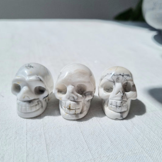 White Howlite Skull- Small - Sparrow and Fox